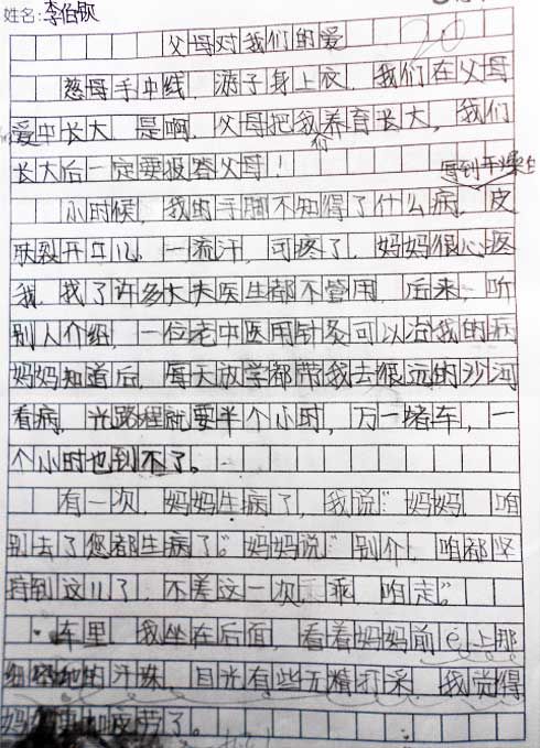 爸爸妈妈的爱情作文