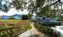 这里，值得你一游