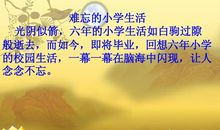 难忘的“读”