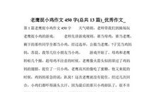 老鹰捉小鸡作文300字