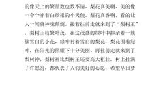 描写梨花的抒情作文