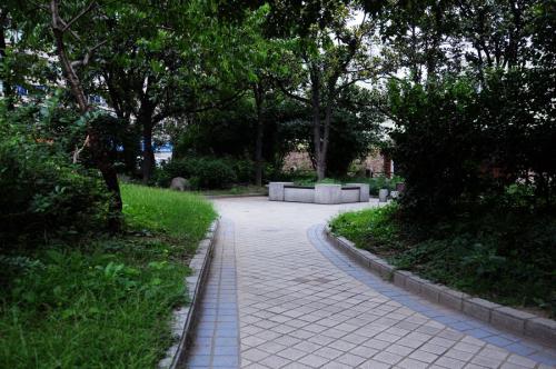 在社区的美丽景色