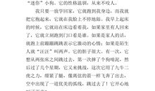 观察小狗的作文