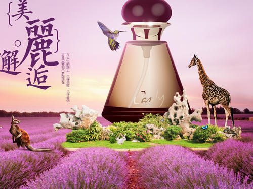 与书的美好encounter