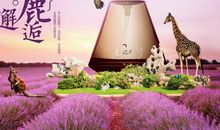 与书的美丽邂逅