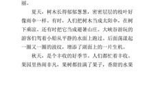 关于四季的作文