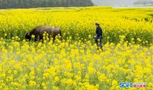 震撼我心灵的温暖