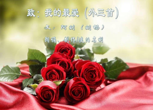 最喜欢的背诵
