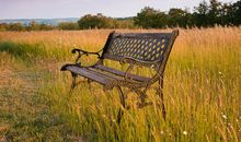 有一种舍弃在秋天