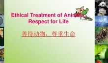 善待小动物