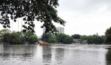 美丽的荔湾湖公园