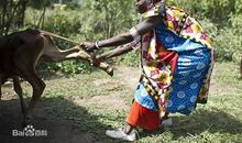 观《翻山涉水上学路》有感