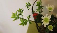 秋风起，我却感觉不到冷