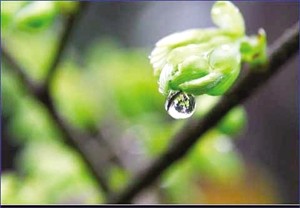 大雨中的温暖