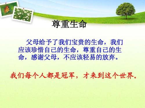 感激生活