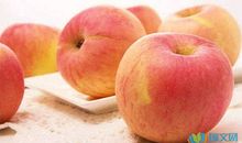 灵宝苹果花节作文