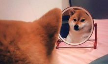 我渴望得到超能力