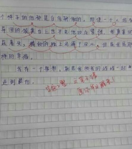 描述外籍老师的组成