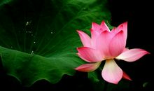 心灵让我如此美丽