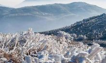 写东白山的作文