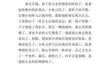 一件事的启示作文450字