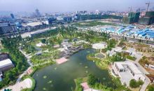 美丽的九龙公园