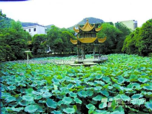 荷花池在学校