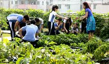 劳动基地实践活动