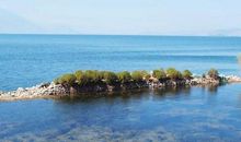 我想去更远的地方