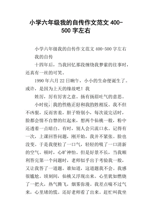 我的自传作文