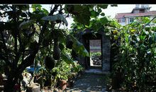 农家小院体验生活