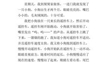 我的小制作作文200字