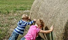 每个生命都不卑微