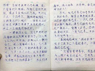 400个有用的同学作文