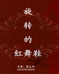 旋转红鞋