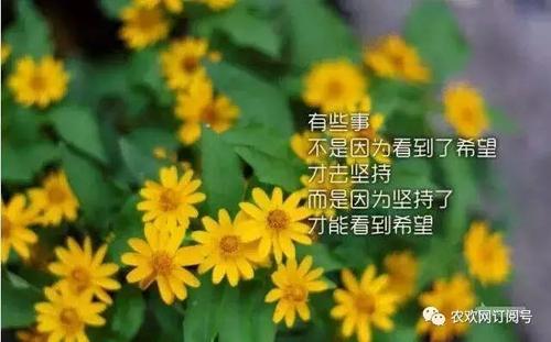 坚持是一种智慧