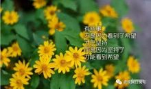 坚持是一种智慧