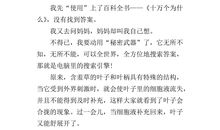 描写含羞草的作文