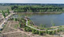 美丽的天鹅湖公园