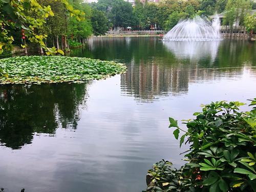 游览荔湾湖公园