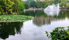 游荔湾湖公园