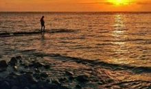 回荡在心底的声音