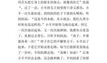 校园里的甜作文450字