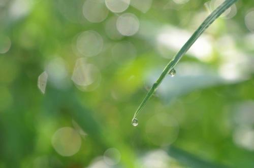 雨后的早晨