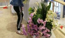 这个国庆真“香”啊