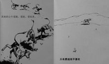 爱花的牛读后感