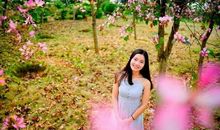 那些与花园相伴的日子