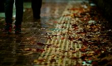 雨，一直在下着