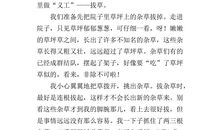 记一件有意义的事_550字