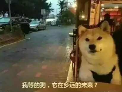 悲惨的考试